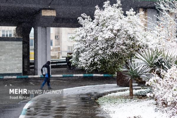 اخطار سازمان هواشناسی در رابطه با کاهش شدید دما یخبندان گسترده نداریم